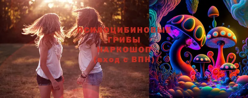 Псилоцибиновые грибы Magic Shrooms  Лебедянь 